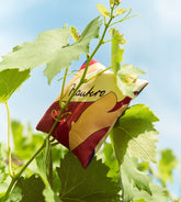 Gaia - Silk lavender sachet | Mantero 1902
